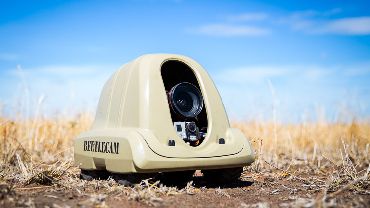 BeetleCam in Africa
